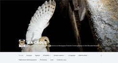 Desktop Screenshot of lachoue.fr
